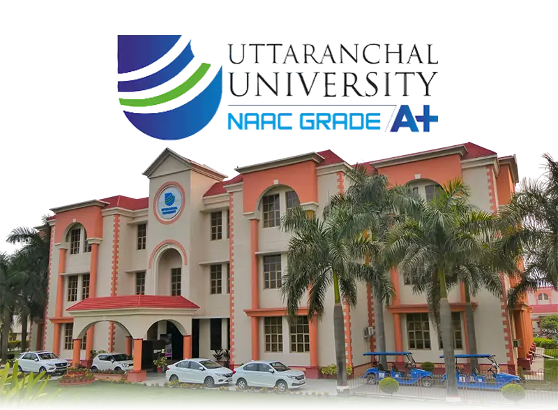 University Campus